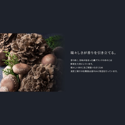 規格サイズにこだわらない轟まいたけ ほぐし 1kg きのこ キノコ 野菜 食品 F21E-531