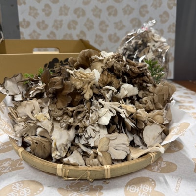 規格サイズにこだわらない轟まいたけ ほぐし 1kg きのこ キノコ 野菜 食品 F21E-531