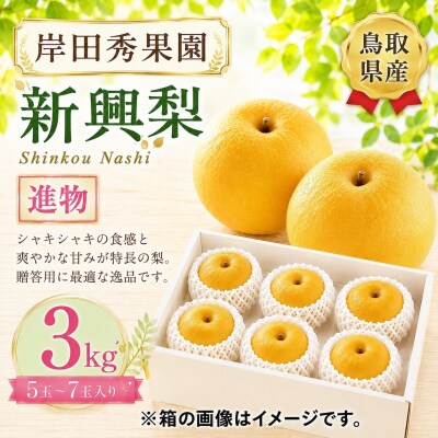 岸田秀果園 新興梨 進物3kg