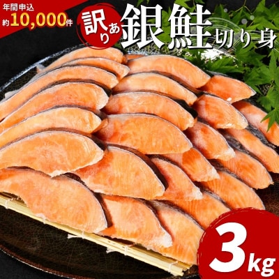 訳あり 銀鮭 切り身 3kg 冷凍 【北海道・沖縄・離島配送不可】