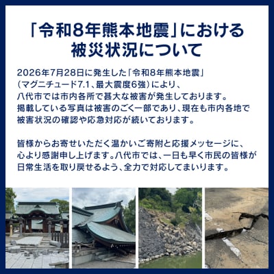 【令和8年熊本地震復興支援】鶏もも切身 3kg(300g×10袋) 九州産若鶏_291-6734