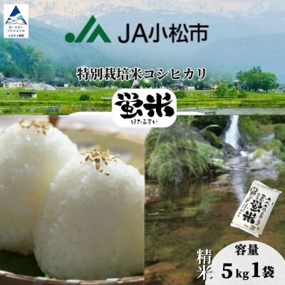 【先行予約】 令和8年産 「 特別栽培米コシヒカリ 」 精米 蛍米 5kg