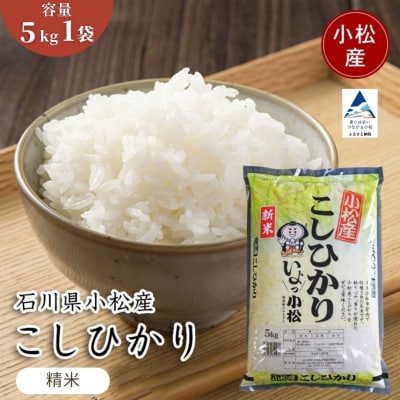 【先行予約】 令和8年産 小松市産 こしひかり 精米 5kg
