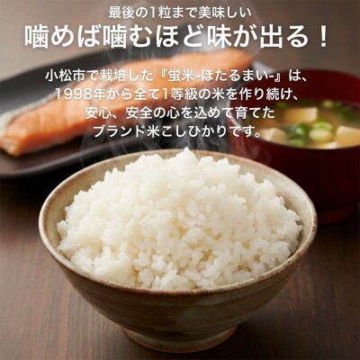 【先行予約】【定期便】 令和8年産 小松市産 こしひかり 精米 5kg×3ヶ月(毎月)