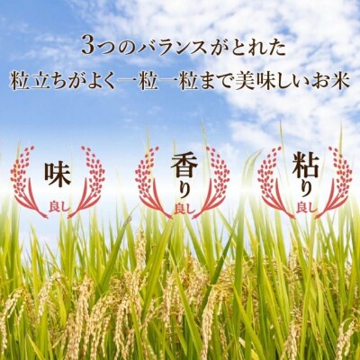 【先行予約】【定期便】 令和8年産 小松市産 こしひかり 精米 5kg×3ヶ月(毎月)