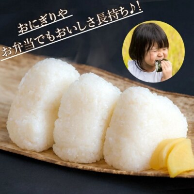 【先行予約】【定期便】 令和8年産 小松市産 こしひかり 精米 5kg×3ヶ月(毎月)