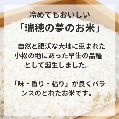 【先行予約】 令和8年産 小松市産 ゆめみづほ 精米 5kg
