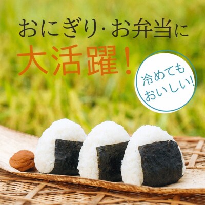 【先行予約】 令和8年産 小松市産 ゆめみづほ 精米 5kg