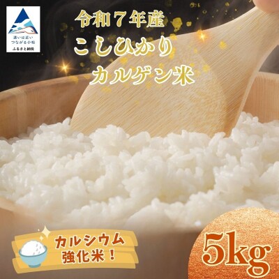 令和7年産 こしひかりカルゲン米 5kg | 石川県 小松市 坂口農園