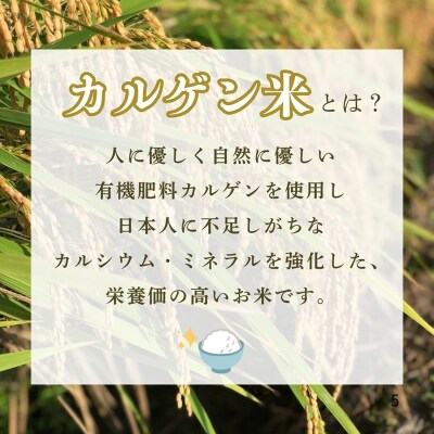 令和7年産 こしひかりカルゲン米 5kg | 石川県 小松市 坂口農園