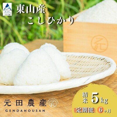 【先行予約】【定期便】令和8年産 コシヒカリ 精米5kg×6ヶ月 お米 白米 こしひかり 元田農産
