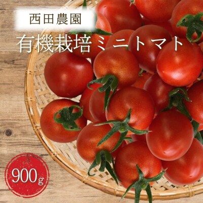 小松市産 ミニトマト 900g プチトマト 西田農園のトマト