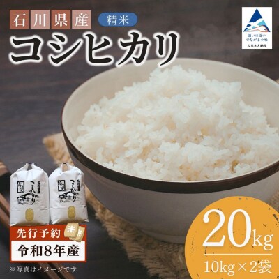 【先行予約】令和8年産 石川県産コシヒカリ 精米 20kg(10kg×2袋) 白米 こしひかり