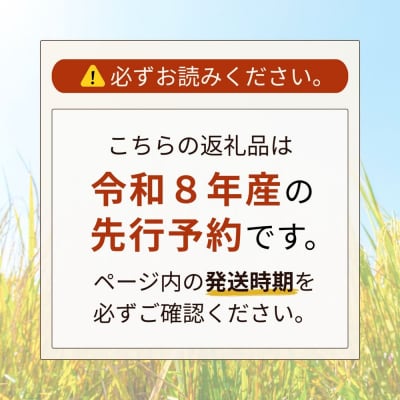 【先行予約】【3ヶ月定期便】令和8年産 石川県産コシヒカリ 精米 計20kg(10kg×2袋)×3回