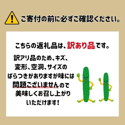 四川きゅうり 5kg (訳アリ) 野菜 ギフト