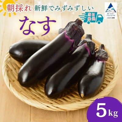 なす 5kg (50個以上) なす ナス 茄子 野菜