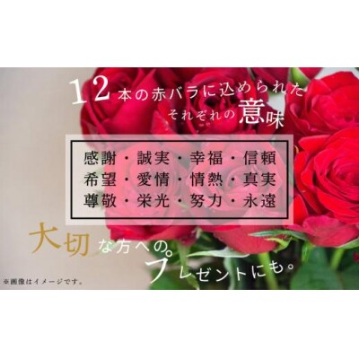 花 インテリア 飾り 《プリザーブドフラワー》 赤いバラ花束12本