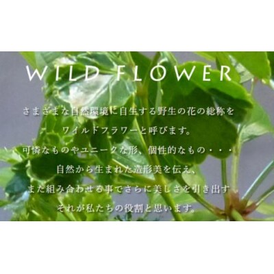 花 インテリア 飾り 《プリザーブドフラワー》 赤いバラ花束12本