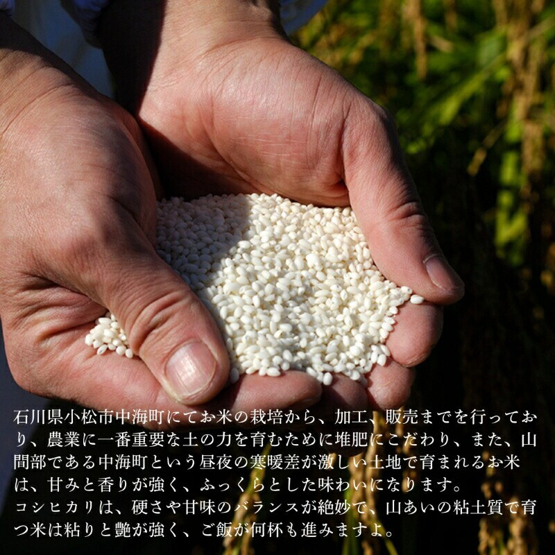 特栽コシヒカリ(玄米5kgを精米したて白米発送) 令和7年産 新米 こしひかり【のむら農産】