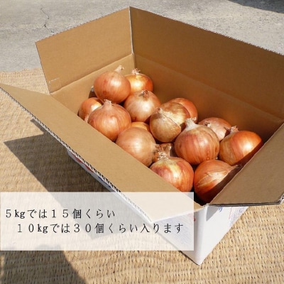 淡路島玉ねぎ(淡路玉三郎)　5kg