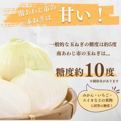 淡路島玉ねぎ(淡路玉三郎)　5kg