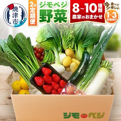 【定期便 全2回】ジモベジ 野菜 セット(a20-447)