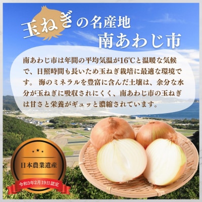淡路島玉ねぎ(淡路玉三郎)　3kg