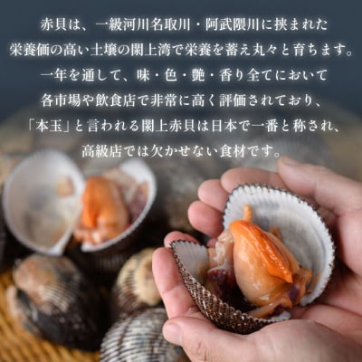 【 漁亭 浜や 】閖上 赤貝 の なめろう 100g 高級食材|21_hmy-150101