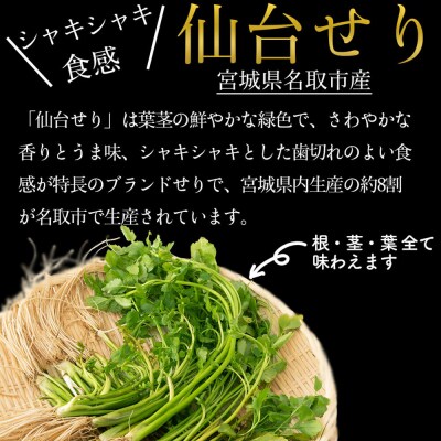 仙台せり鍋セット〈石巻産牡蠣〉4～5人前|21_hmy-290501