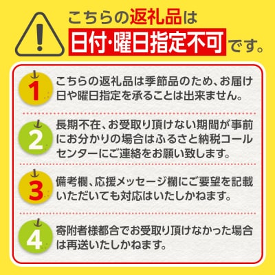 【先行予約(2026年発送分)】【訳あり】旬の和梨　約3kg【吉川果樹園】|梨 ナシ こだわりの梨 