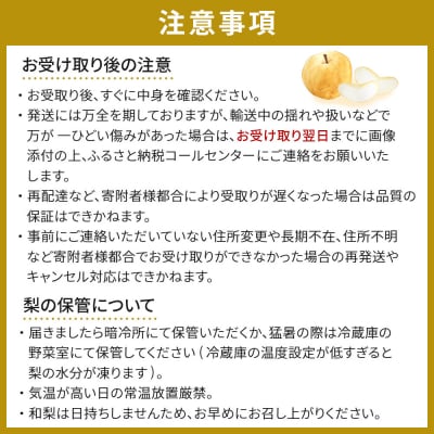 【先行予約(2026年発送分)】【訳あり】旬の和梨　約3kg【吉川果樹園】|梨 ナシ こだわりの梨 