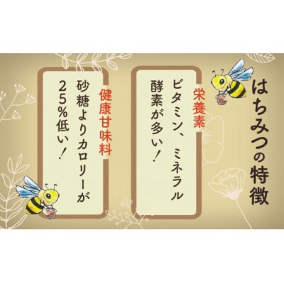 《石川県小松市産》 純粋日本はちみつ 白山ひめみつ 280g