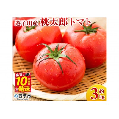 <標高600mの高地で栽培の遊子川産 桃太郎トマト 約3kg> 国産 とまと 野菜 3キ