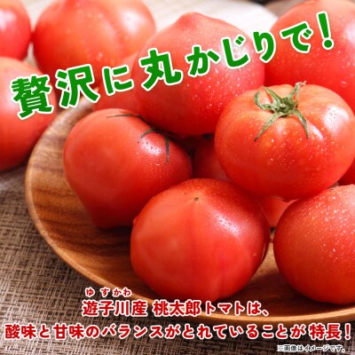 <標高600mの高地で栽培の遊子川産 桃太郎トマト 約3kg> 国産 とまと 野菜 3キ