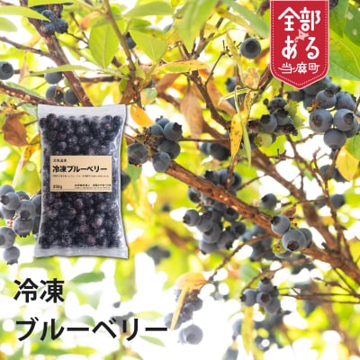 冷凍ブルーベリー(250g×4袋)【S-004】