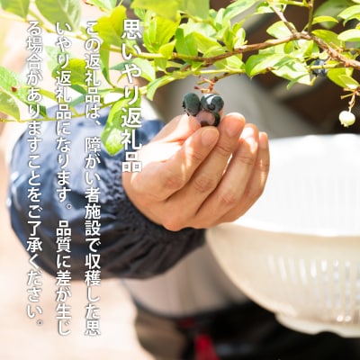 冷凍ブルーベリー(250g×4袋)【S-004】