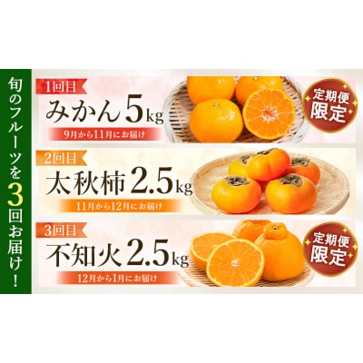 【先行予約】全3回 旬のフルーツ定期便 みかん 柿 不知火 緑伸園《9月下旬-1月下旬頃出荷》