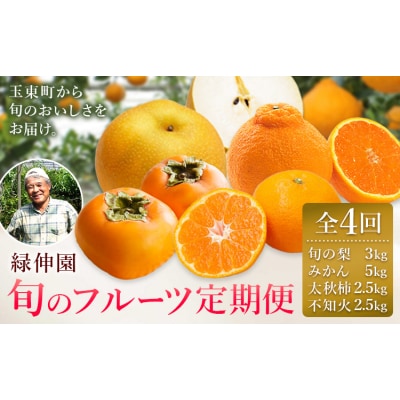 【先行予約】全4回 旬のフルーツ定期便 梨 みかん 柿 不知火 緑伸園《8月中旬-1月下旬頃出荷》