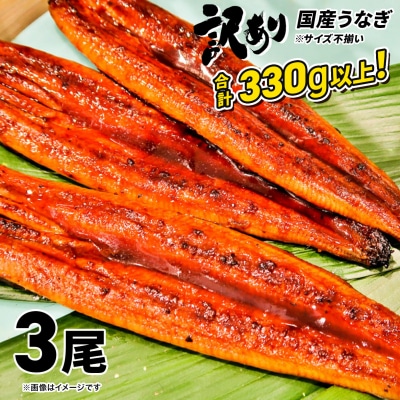 2026年9月発送【訳あり】 国産 うなぎ 蒲焼 3尾 330g以上 サイズ不揃い 鰻