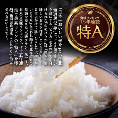 【R7年産】【 6ヶ月定期】(無洗米4kg)ホクレンゆめぴりか(無洗米2kg×2袋) SBTD051