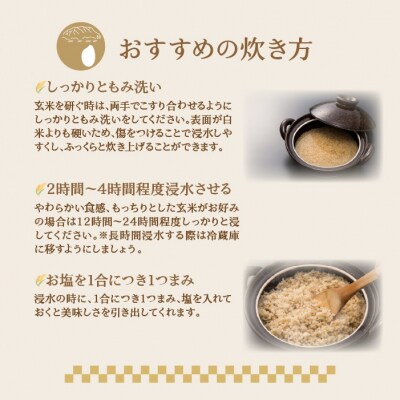【令和7年産】【 3ヶ月定期配送】(玄米3kg)ホクレンゆめぴりか SBTD070
