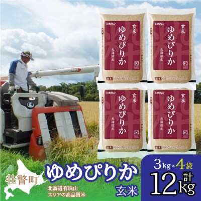 【令和7年産】(玄米12kg)ホクレンゆめぴりか(3kg×4袋) SBTD076
