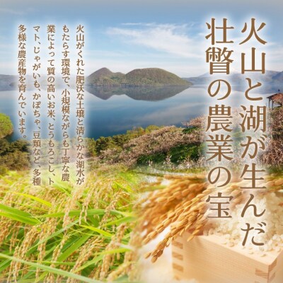 【令和7年産】【3ヶ月定期配送】(無洗米4kg)ホクレン喜ななつぼし(2kg×2袋) SBTD107