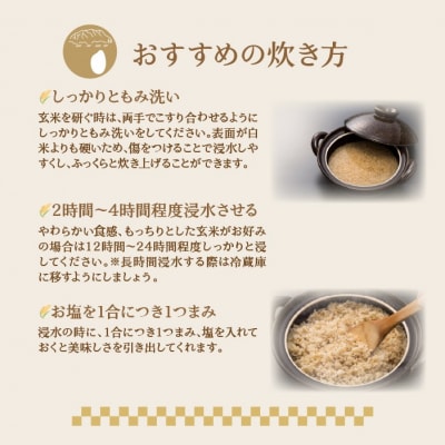 【令和7年産】【6ヶ月定期配送】(玄米12kg)ホクレンゆめぴりか(3kg×4袋) SBTD178