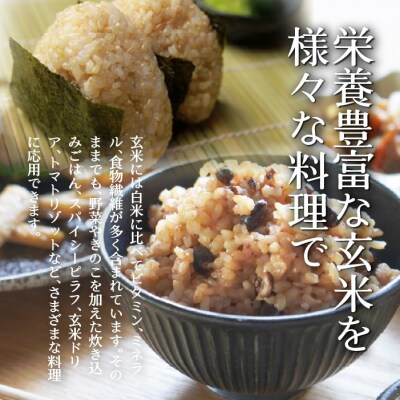 【令和7年産】【隔月6回定期】(玄米12kg)ホクレンゆめぴりか(3kg×4袋) SBTD179