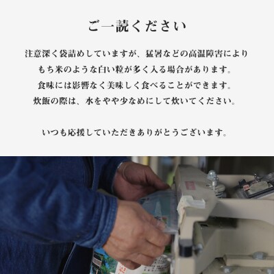 【令和8年産新米先行受付】【定期便6回】ふっくりんこ 玄米 10kg 《杉本農園》