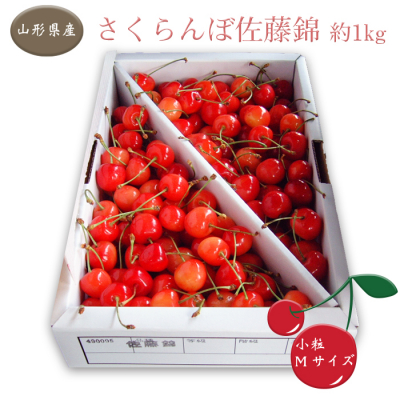 【2027年発送】「秀品」さくらんぼ佐藤錦1kg(M玉・バラ詰)_H036(R9)