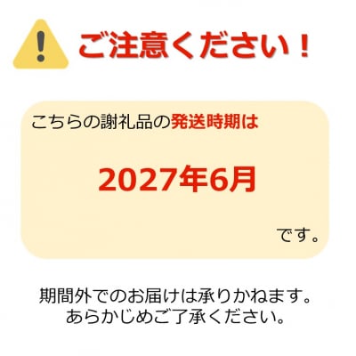 【2027年発送】「秀品」さくらんぼ佐藤錦1kg(M玉・バラ詰)_H036(R9)