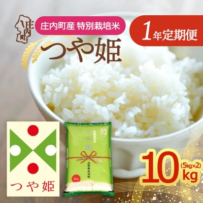 【定期便】【令和8年産】つや姫 5kg×2袋×1年間 特別栽培米 毎月 10kg【10月下旬発送】