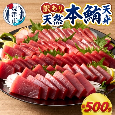 マグロ 赤身 訳あり 刺身 ホンマグロ 天身 約500g(a10-1077)